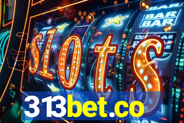 313bet.co