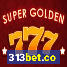 313bet.co