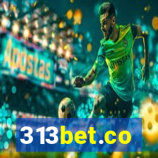 313bet.co