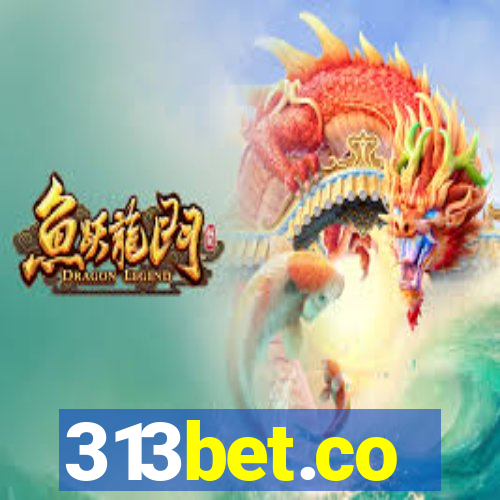 313bet.co