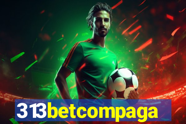 313betcompaga