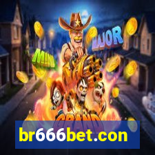br666bet.con