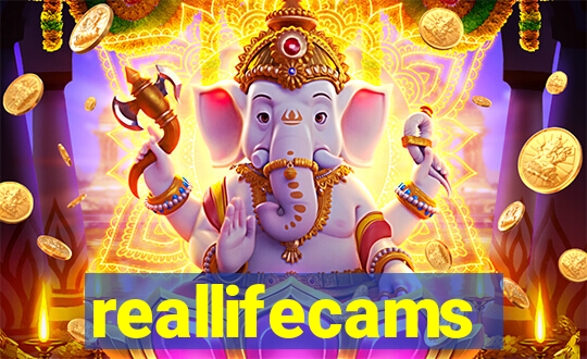 reallifecams