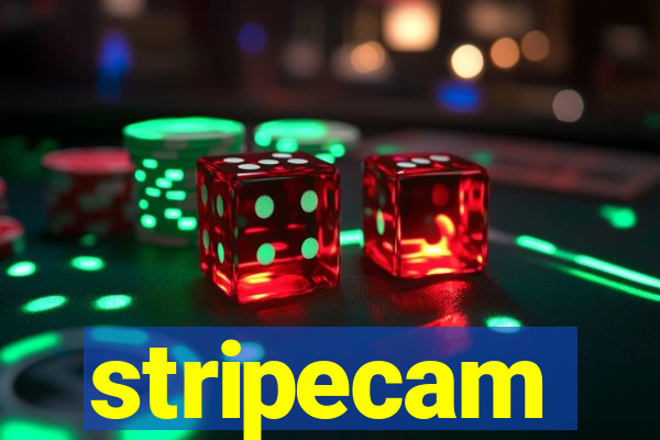 stripecam