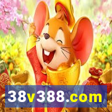 38v388.com