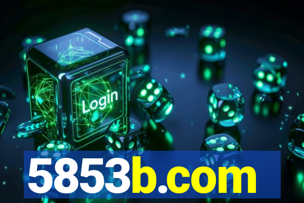 5853b.com