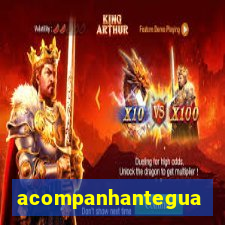 acompanhanteguanambi