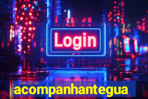 acompanhanteguanambi
