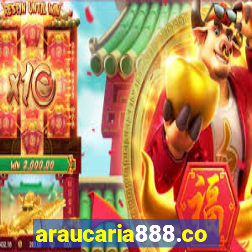araucaria888.com
