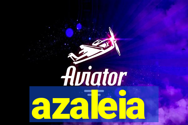 azaleia-br.com