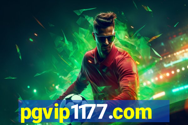 pgvip1177.com