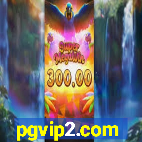 pgvip2.com