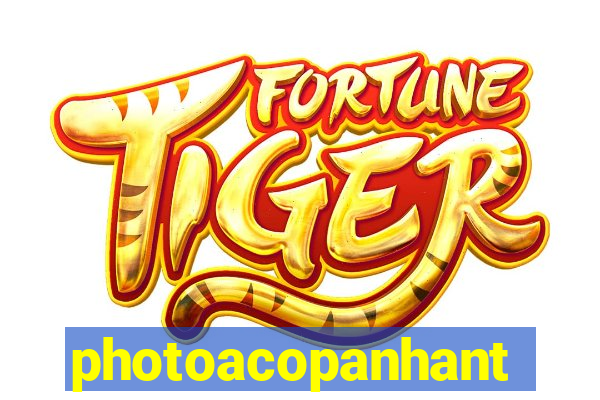 photoacopanhante.