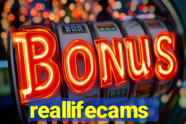 reallifecams