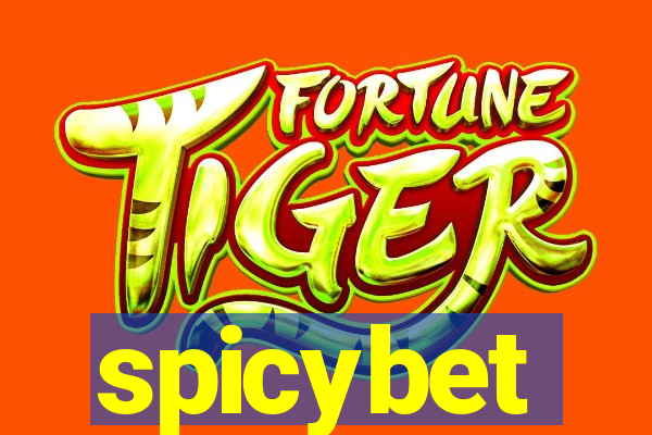 spicybet-3.com