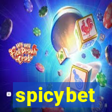 spicybet-4.com