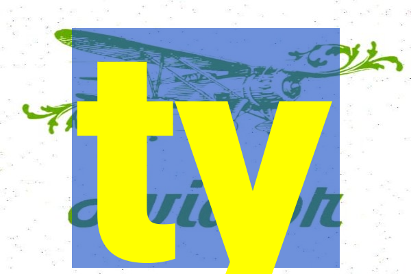 ty-golfinho.com