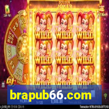 brapub66.com