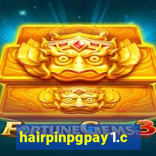 hairpinpgpay1.com