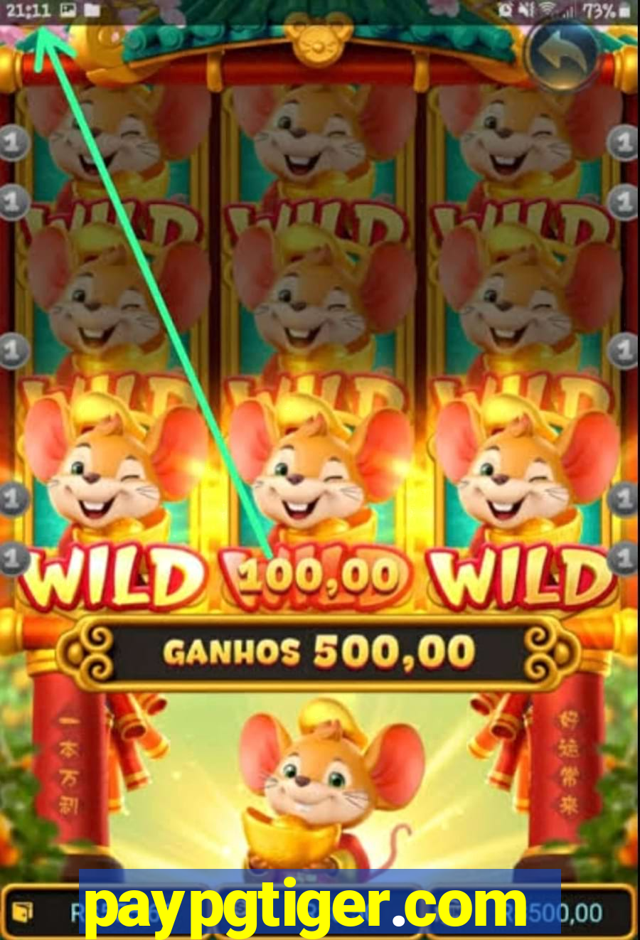 paypgtiger.com