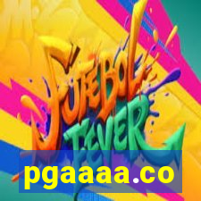 pgaaaa.co